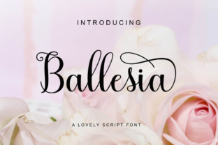 Ballesia Script: A Web Designer’s Guide to Digital Typography