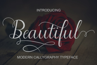 Beautiful Script: A Modern Typeface for Branding