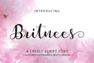 Britnees Script: A Modern Typeface for Clear Campaigns