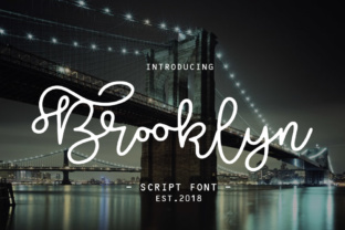 Brooklyn Script: A Playful Typeface for Modern Brands
