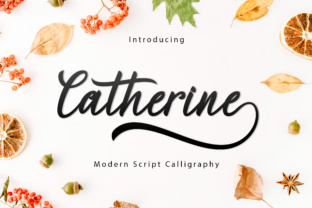 Catherine Script: A Web Designer’s Review