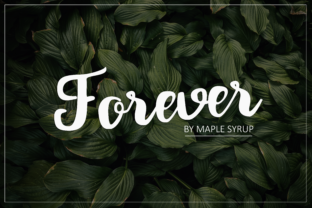 Forever Script: A Timeless Typeface for Makers