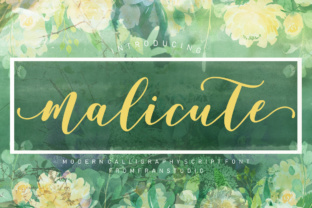Malicute Script: A Designer's Practical Review