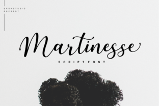Martinesse Script: A Designer's Practical Review