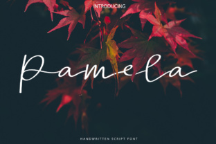 Pamela Script: A Chic Typeface for Digital Design