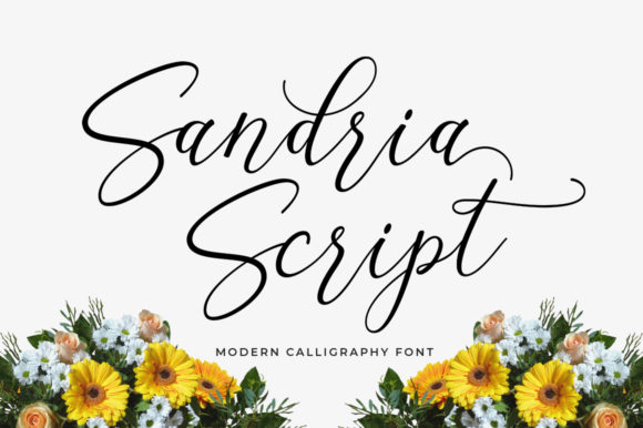 Sandria Script: A Modern Typeface for Web Design