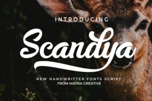 Scandya Script: A Marketer's Review of This Premium Typeface